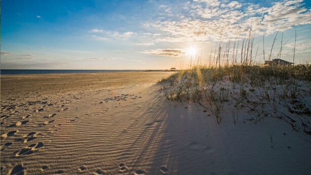 A beach with footprints and tall grass, a clear sky, and the sun setting or rising.
