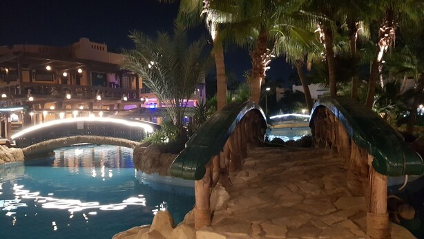Ein Poolbereich bei Nacht mit Steinbrücke und Palmen.