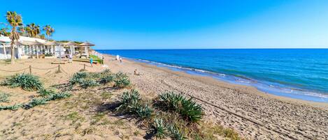 بالقرب من الشاطئ