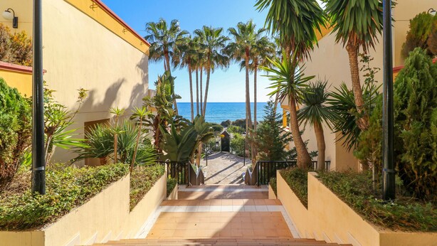 Un camino que lleva a una playa con palmeras y una vista despejada del mar.