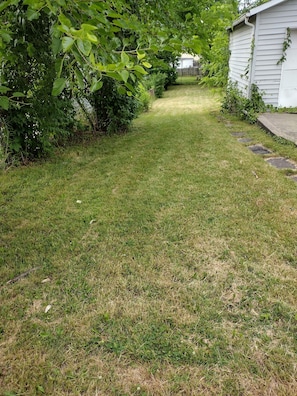 Stroll through a serene residential area, surrounded by a well-manicured lawn and a meandering pathway.