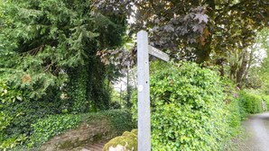 Un cartello in pietra con una freccia direzionale, immerso nella fitta vegetazione e delimitato da un muro di pietra.