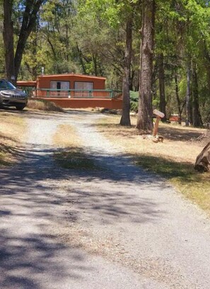 Property grounds - Ponderosa- cheerful private master suite (Groveland)