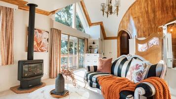 TV connectée, cheminée, Netflix, livres