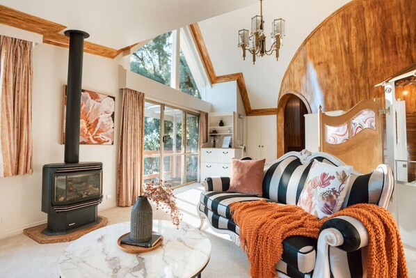 Smart TV, fireplace, Netflix, books