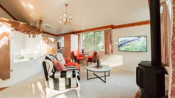 Smart TV, fireplace, Netflix, books