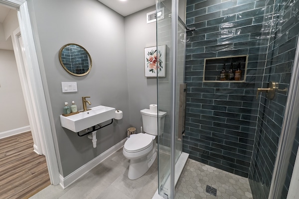 Combined shower/tub, hair dryer, bidet, towels