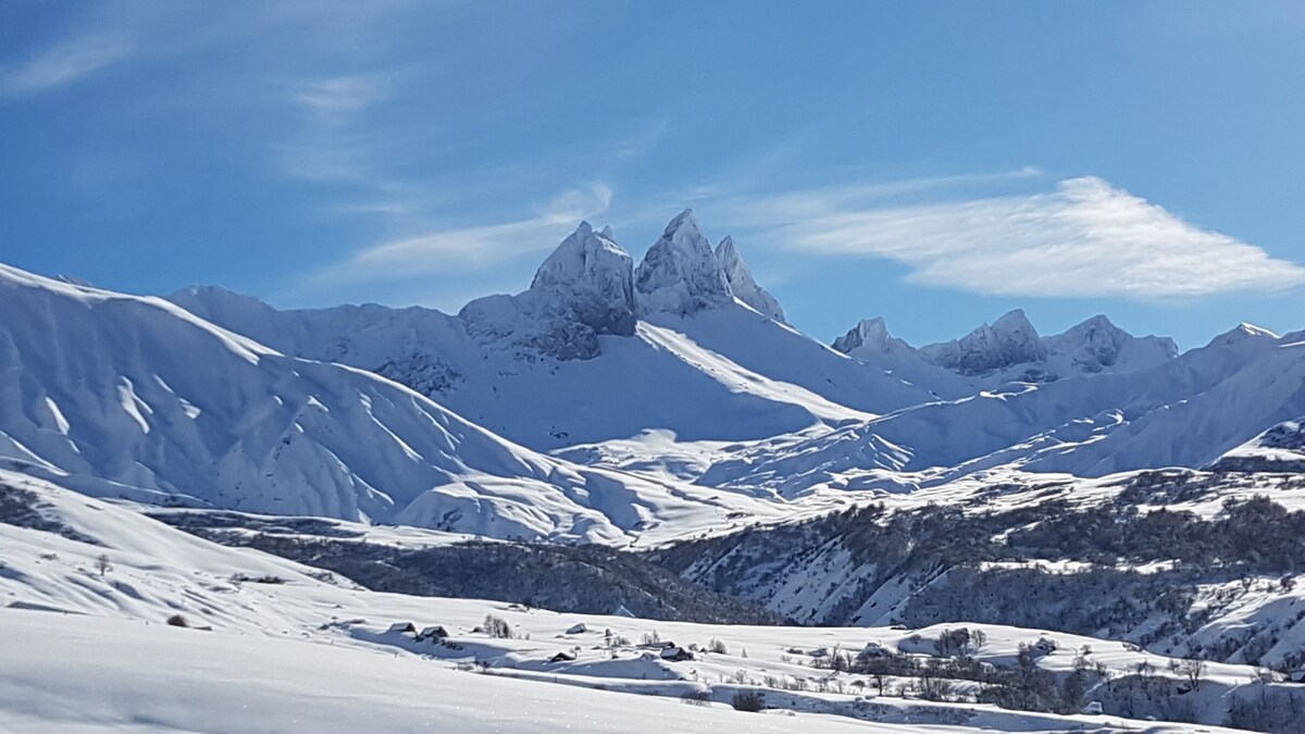 オーナーのプロフィール画像