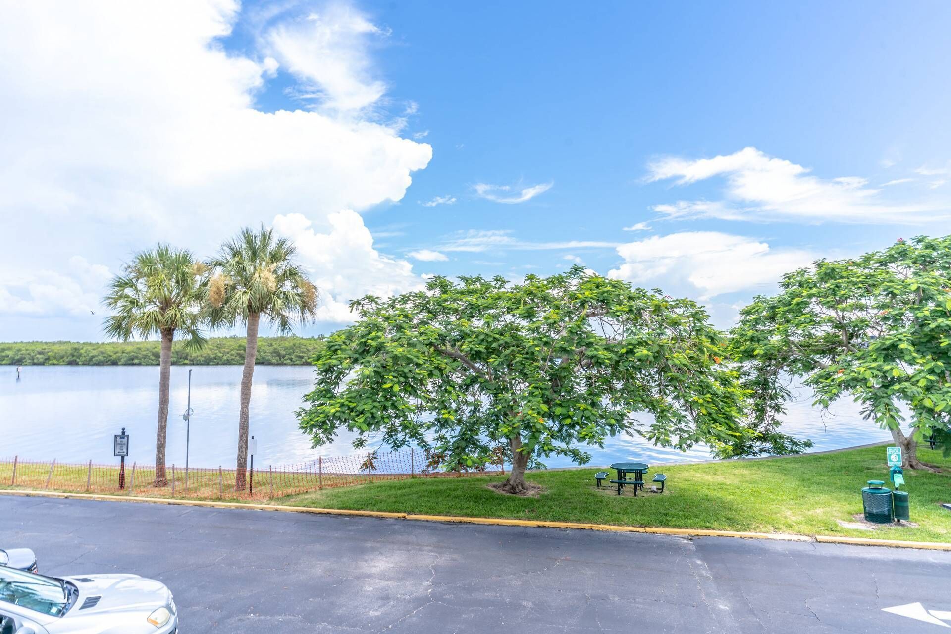 A parking lot with a view of a lake, palm trees, and picnic tables.