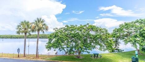 A parking lot with a view of a lake, palm trees, and picnic tables.