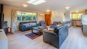 Una televisión, una chimenea