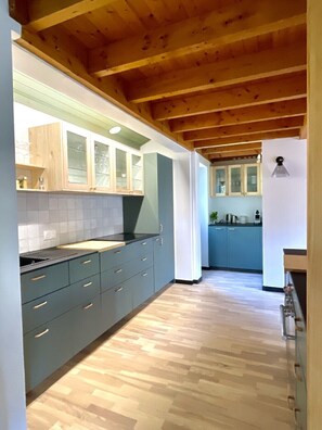 Fridge, oven, stovetop, dishwasher