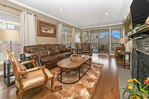 Smart TV, fireplace, books, stereo