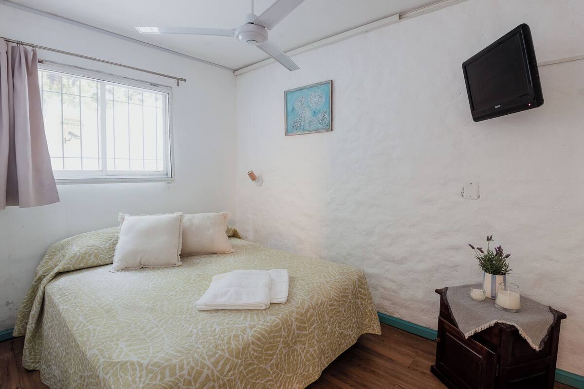 A bedroom with a bed, a ceiling fan, a TV, a small table with a plant, and a window with curtains.