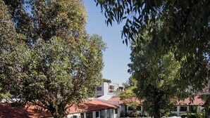 A courtyard with a swimming pool, outdoor seating, and a large tree. - Miraverde Pinamar (Pinamar)