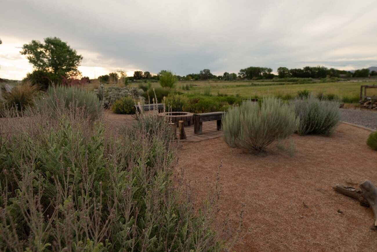 Un jardín con un banco de madera, diversas plantas y un hogar de fuego rústico.