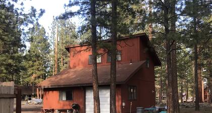 Cozy Adorable Cottage Near Eagle Lake