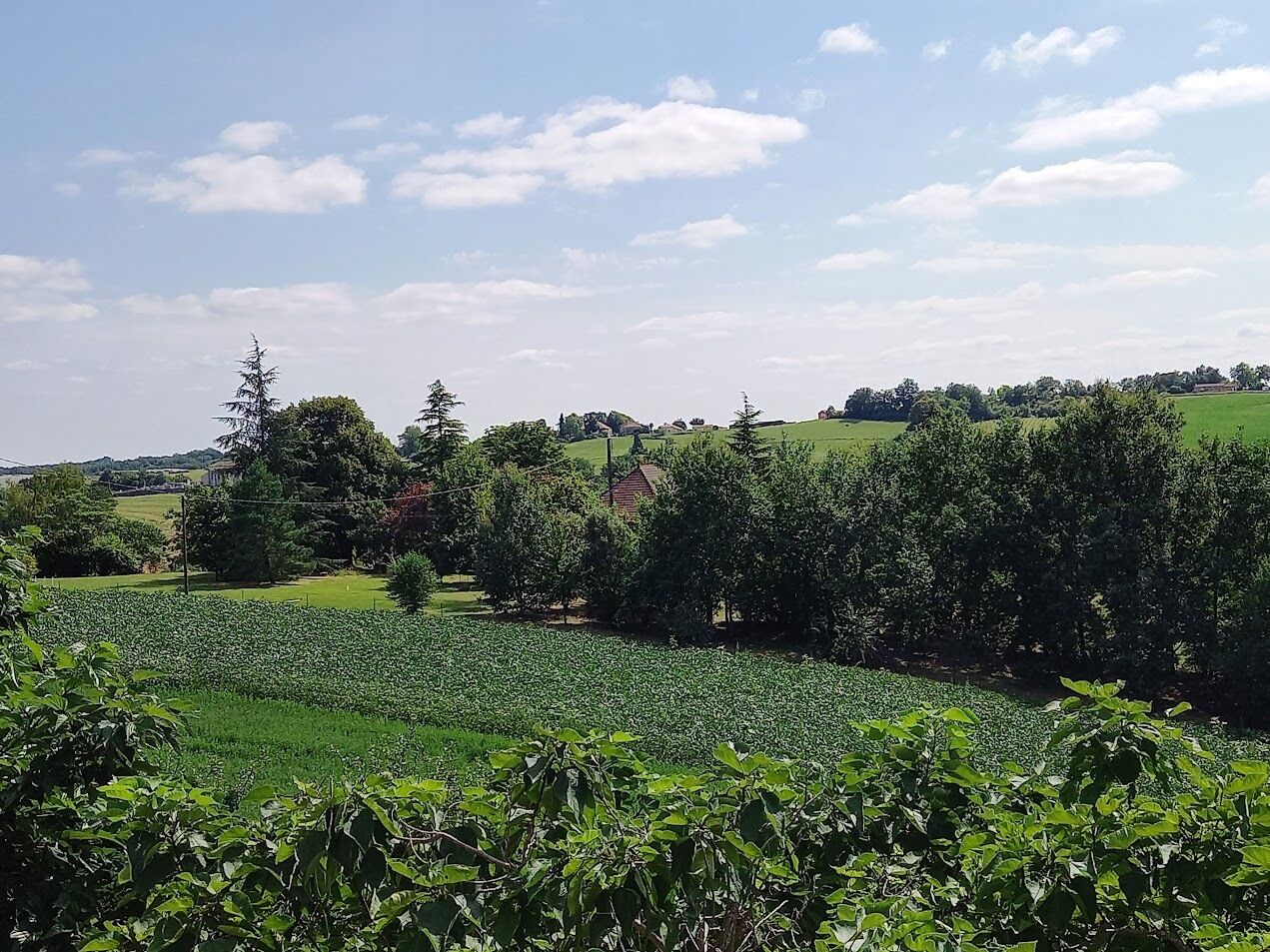 A rural landscape with fields, trees, and a distant building.