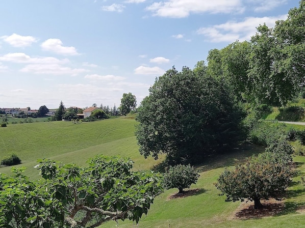 A rural landscape with rolling hills, a large tree, and a few scattered buildings in the distance. - Agréable Maison Toute Équipée Classée 3 à Durfort Lacapelette (Durfort Lacapelette)