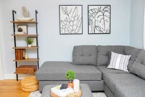 Smart TV, caminetto, libri, biblioteca musicale