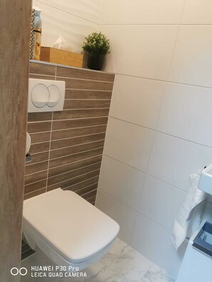 Combined shower/tub, hair dryer, towels, soap