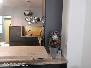 Fridge, microwave, oven, stovetop - Charmante Wohnung und Parkplatz von Ort (Liptovský Mikuláš)