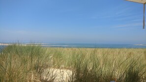Beach - SUPERBE APPARTEMENT ARCACHON (Arcachon)