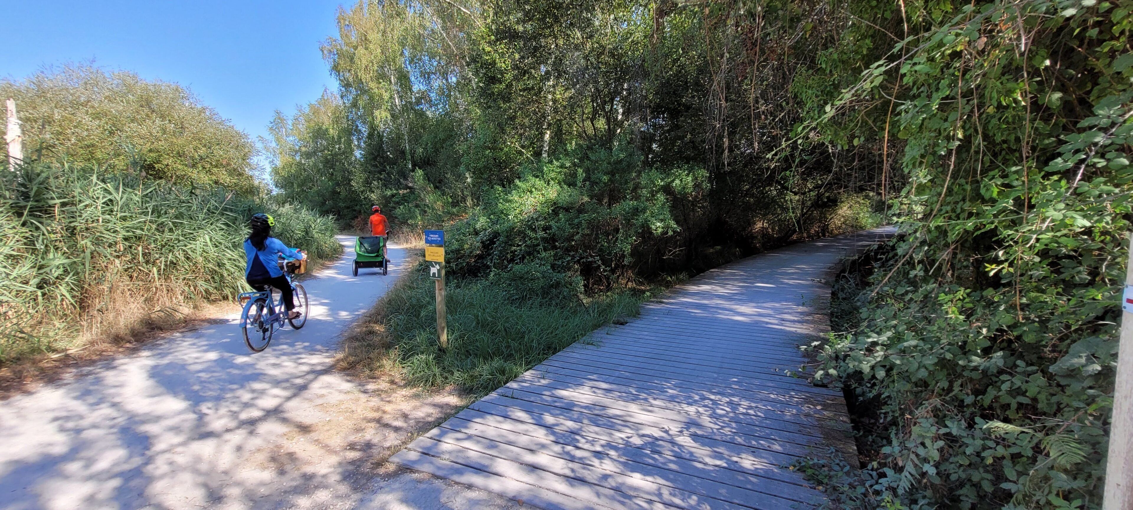 A paved path with a wooden boardwalk alongside dense greenery.