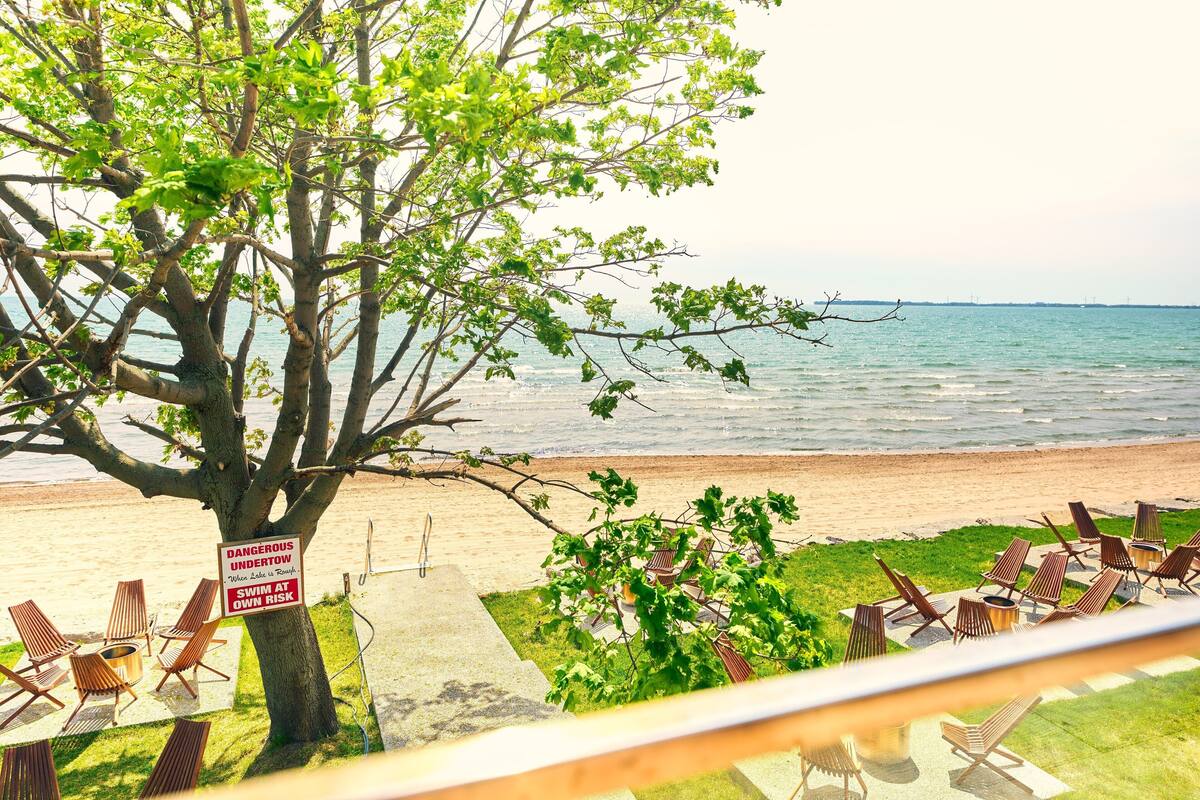 A beachside view with a tree, beach chairs, and a sign warning of dangerous undertow.