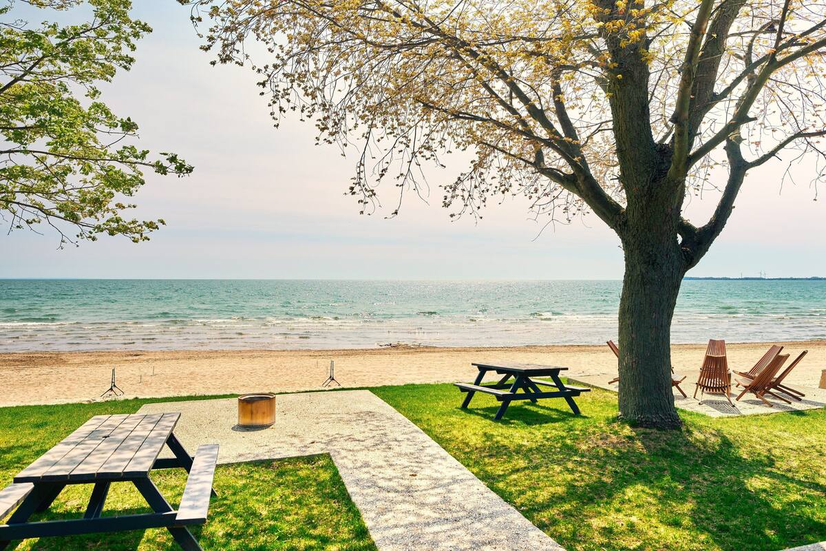 A beachside picnic area with a table and chairs, a tree, and a view of the ocean.