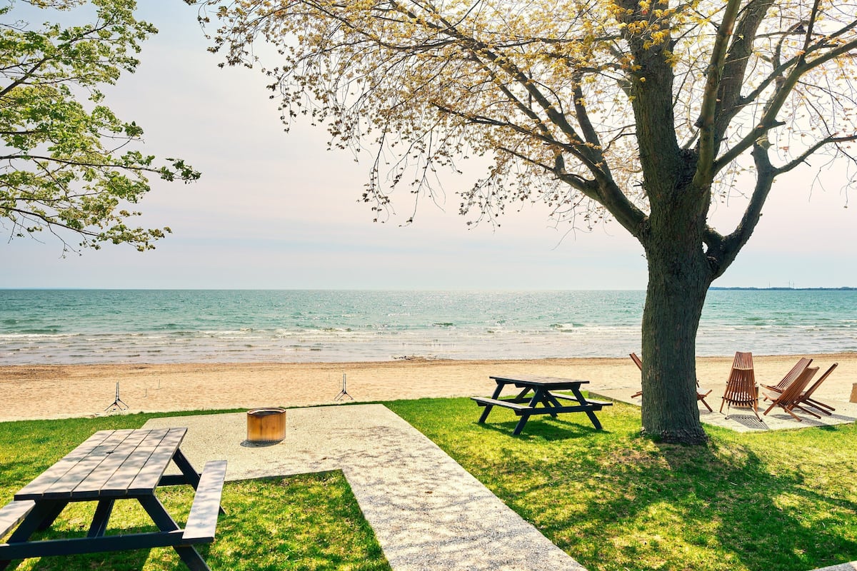 Cottage 4 - Detached | Terrace/patio