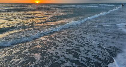 Relax at The Bamboo Cottage - Walk to Dearborn St, minutes to local beaches!