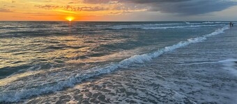 Relax at The Bamboo Cottage - Walk to Dearborn St, minutes to local beaches!