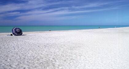 Relax at The Bamboo Cottage - Walk to Dearborn St, minutes to local beaches!