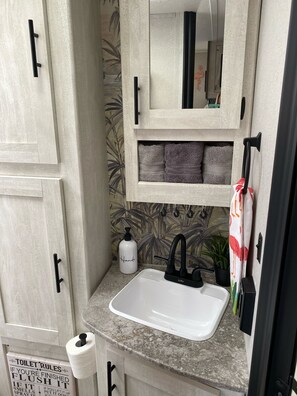 Shower, towels, toilet paper