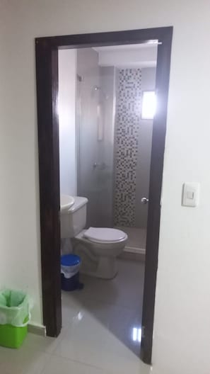 Shower, hair dryer, toilet paper