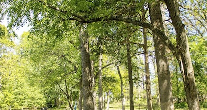 NEWLY renovated cottage located right off I-44 near Joplin, MO