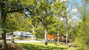 A serene lakeside setting with a swan swimming, surrounded by lush greenery and RVs parked nearby. - Clyde's Cabin + Hot Tub (Carthage)