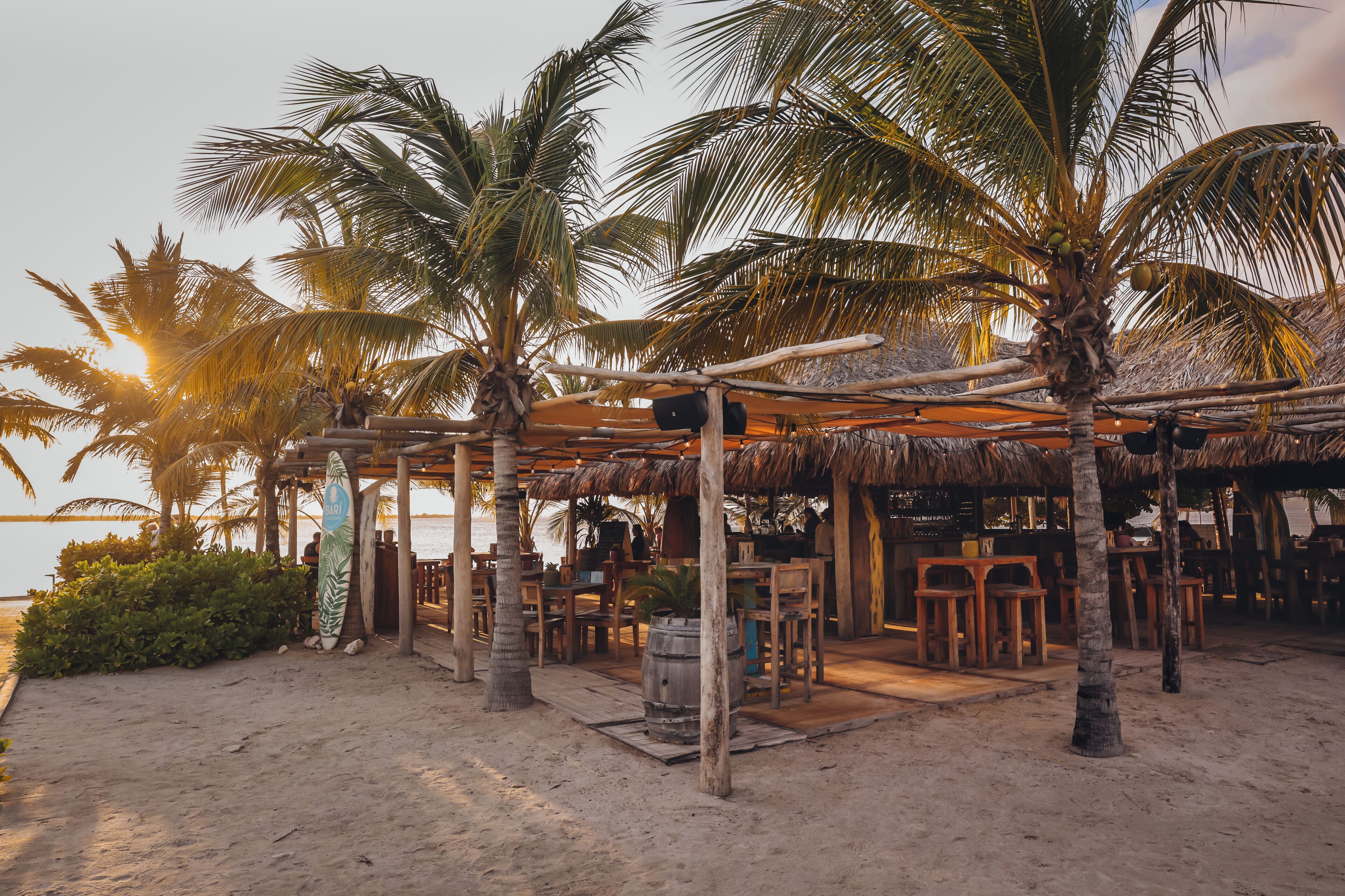 A beachside restaurant with outdoor seating, palm trees, and a view of the ocean.