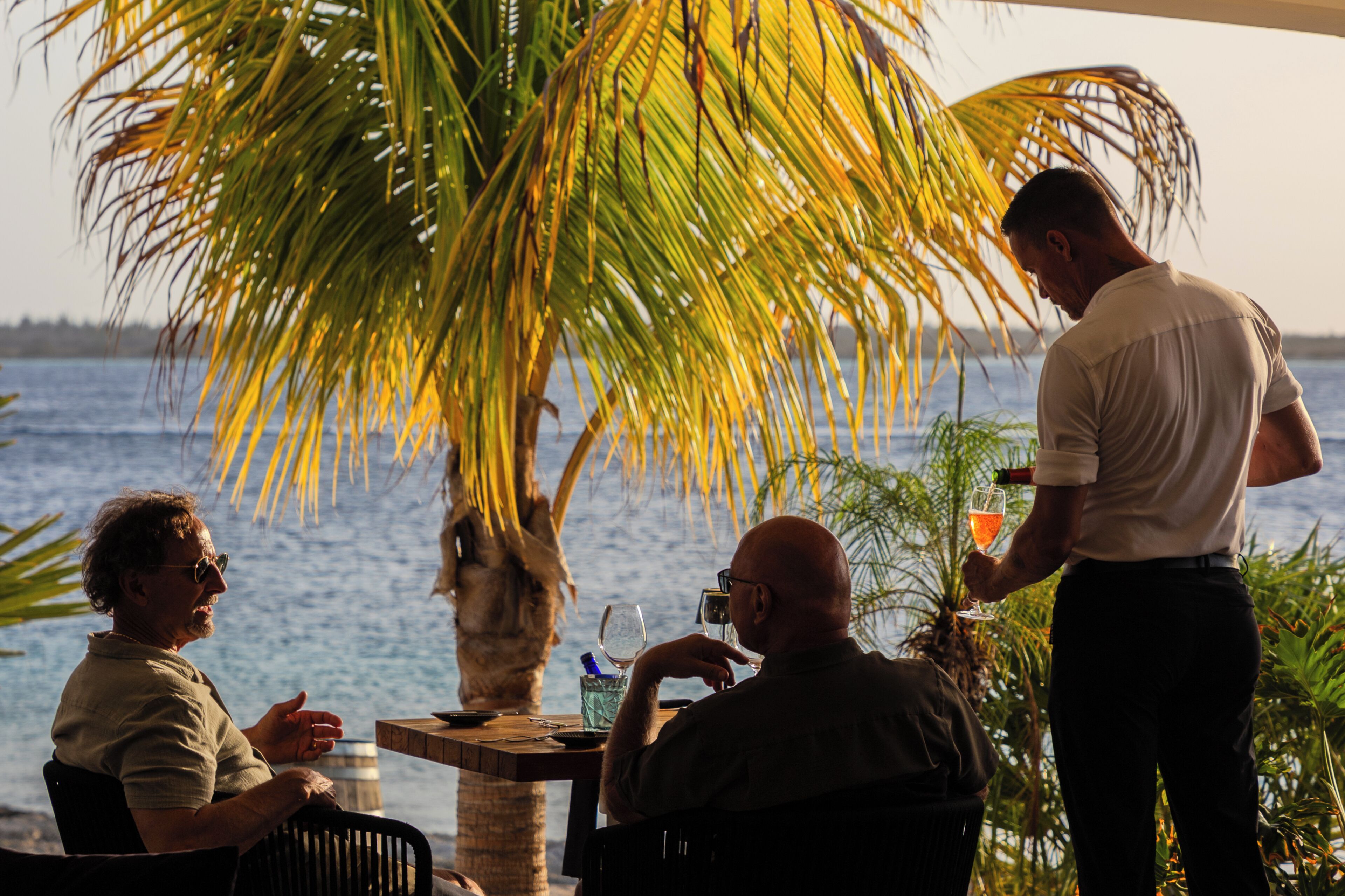 Un restaurant situé sur la côte, avec une terrasse, un palmier et une vue sur la mer.