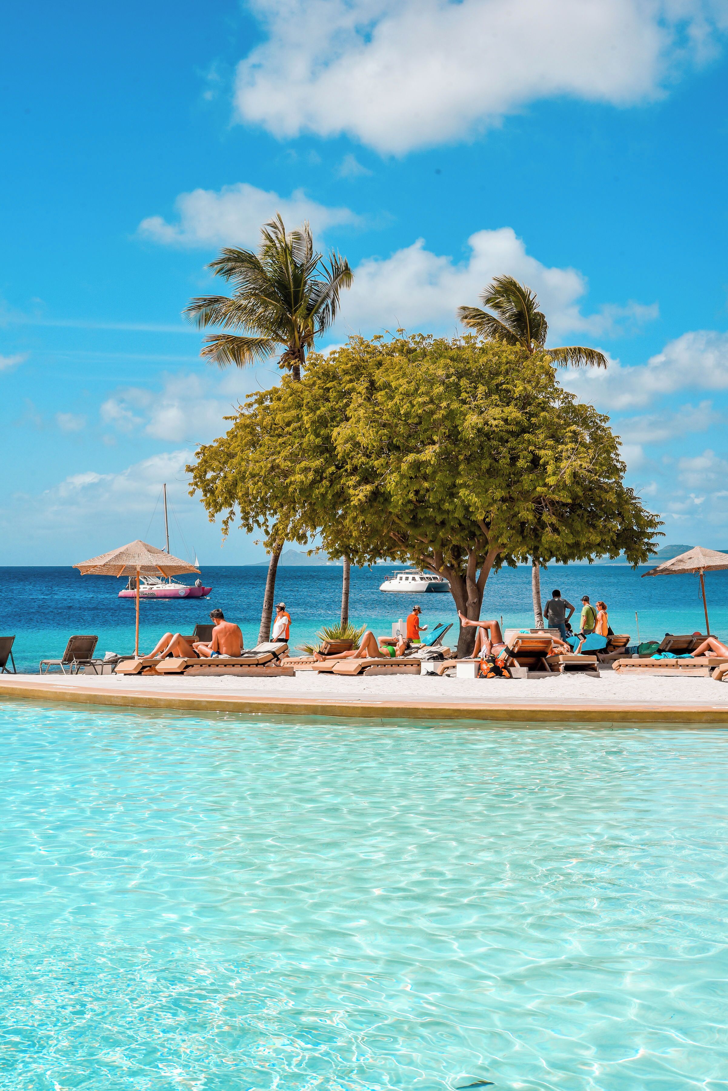 A clear blue pool with lounge chairs and umbrellas, a large tree, and a boat in the background.