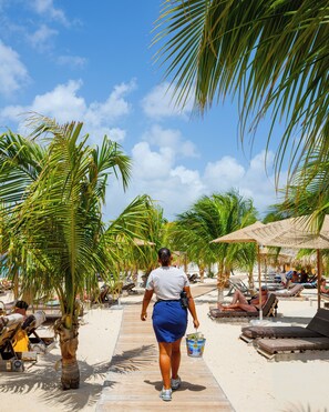 Un sentier bordé de palmiers menant à des espaces aménagés pour se détendre au bord de la plage.