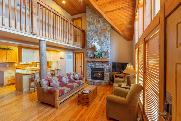 TV, fireplace