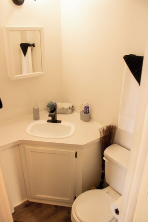 Combined shower/tub, hair dryer, towels, shampoo