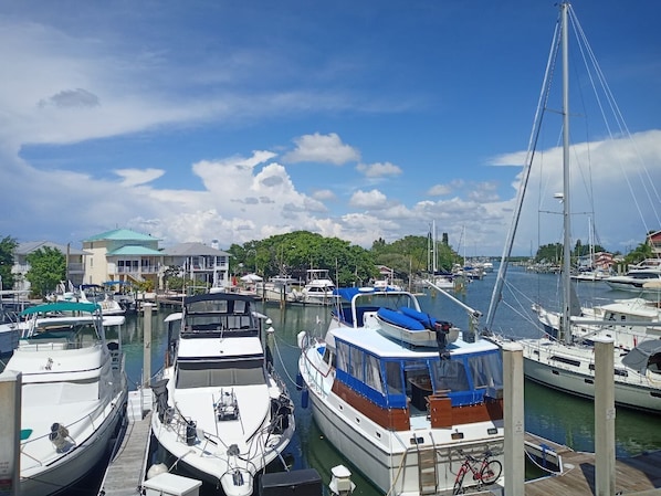 Marina