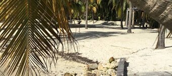 1600 Sq Ft Luxury Penthouse Oceanview Fast WIFI, Golf Cart Help & Breakfast