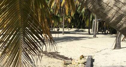1600 Sq Ft Luxury Penthouse Oceanview Fast WIFI, Golf Cart Help & Breakfast