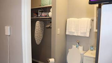 Combined shower/bathtub, hair dryer