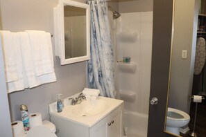 Ensemble douche/baignoire, sèche-cheveux, serviettes fournies, savon