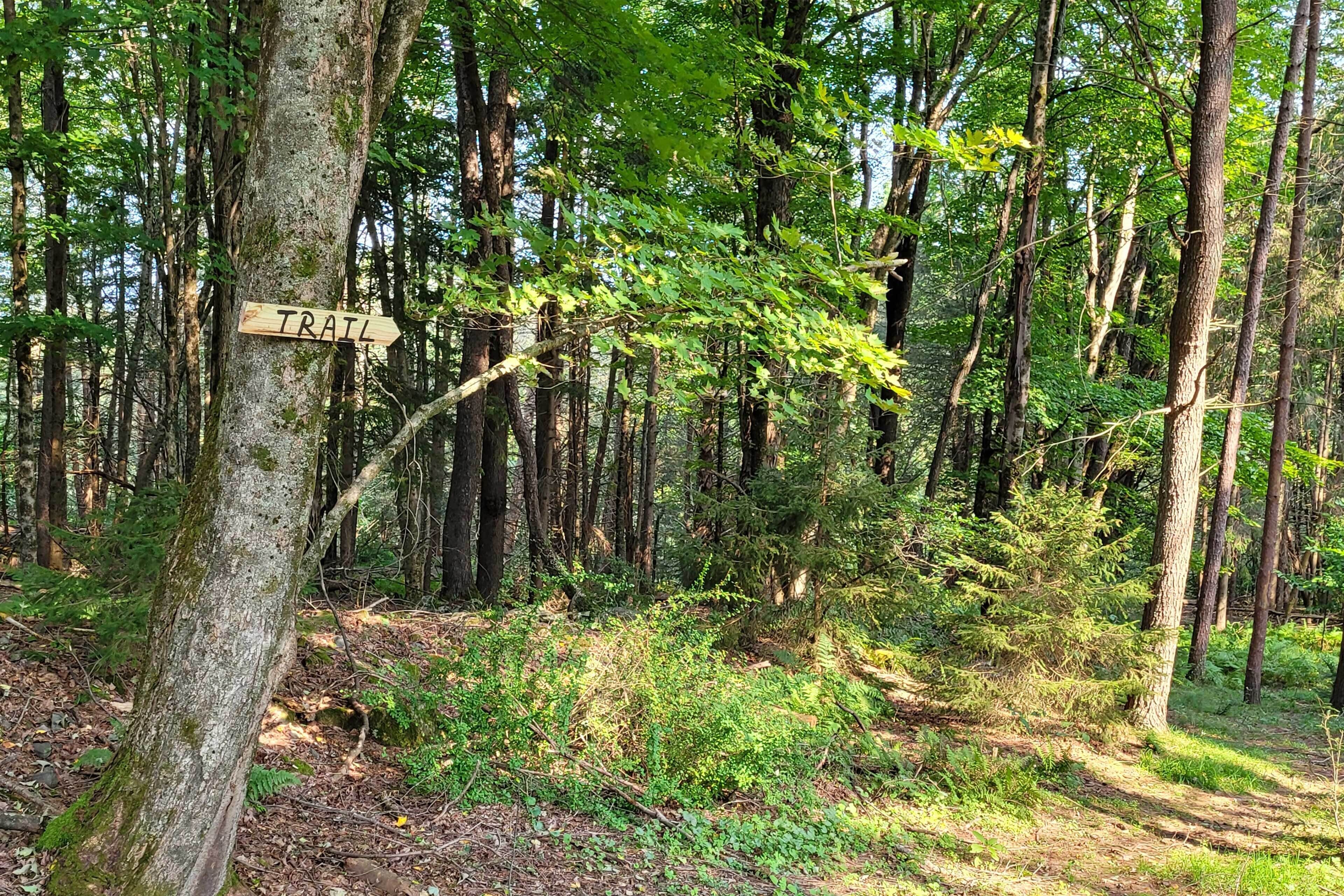 Metsäinen alue, jossa on puinen opastekyltti, joka osoittaa polun suunnan.